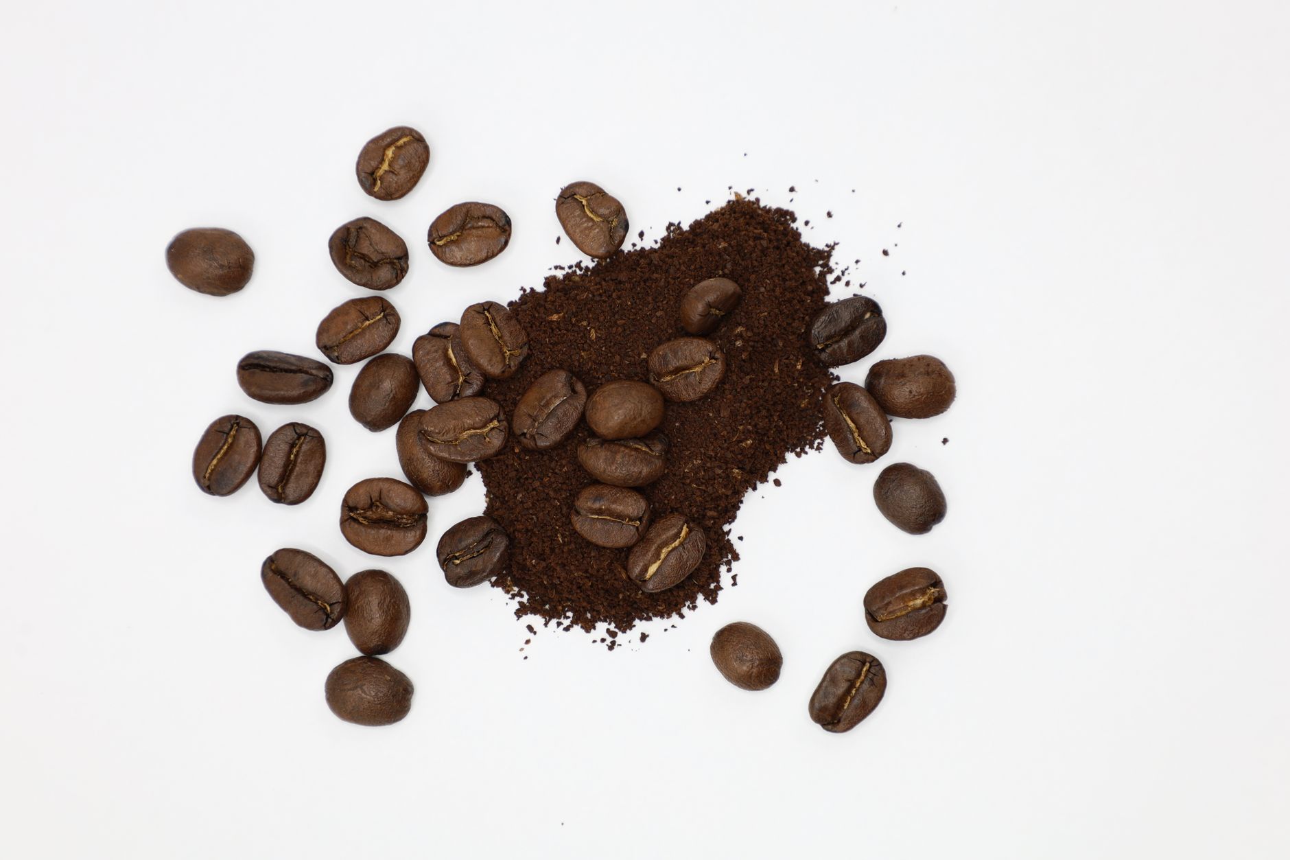 Prevent Brain Fog: Teddy Outdoors Coffee in Staten Island, NY 2026 — professional context photo for Staten Island, New York Prevent Brain Fog: Teddy Outdoors Coffee in Staten Island, NY 2026 — professional context photo for Staten Island, New York