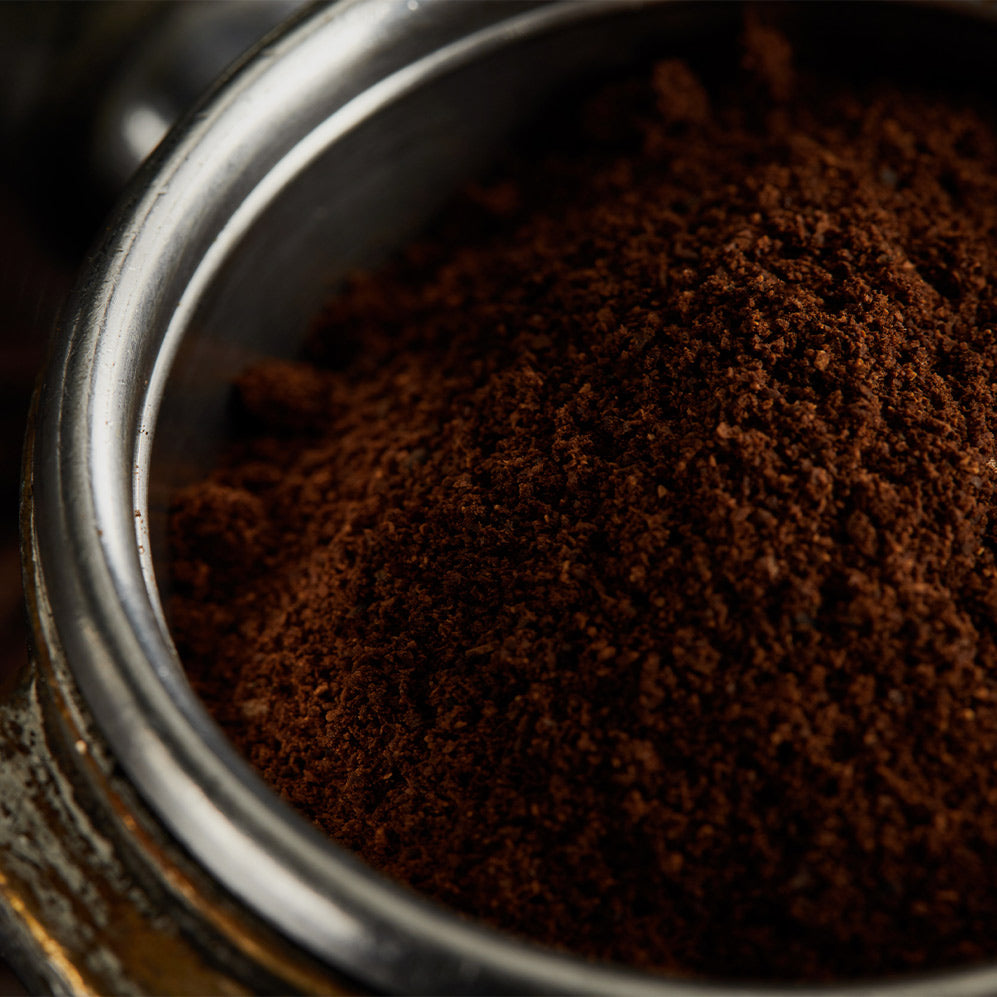 Guide to Lion's Mane Coffee Benefits in Staten Island, New York — Teddy Outdoors visual reference for New York