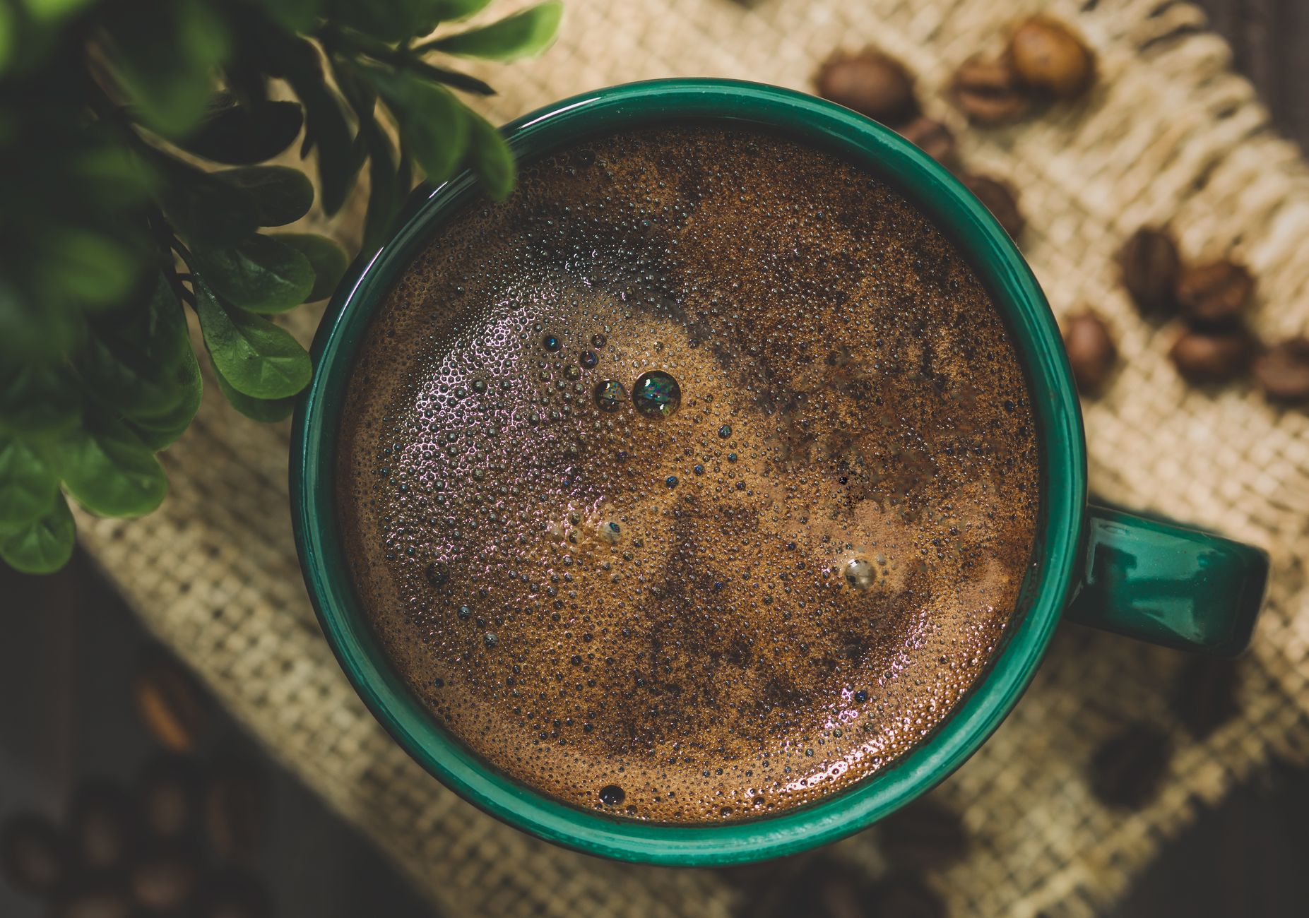 Top 3 Adaptogen Coffee Options in Staten Island for Energy — professional context photo for Staten Island, New York